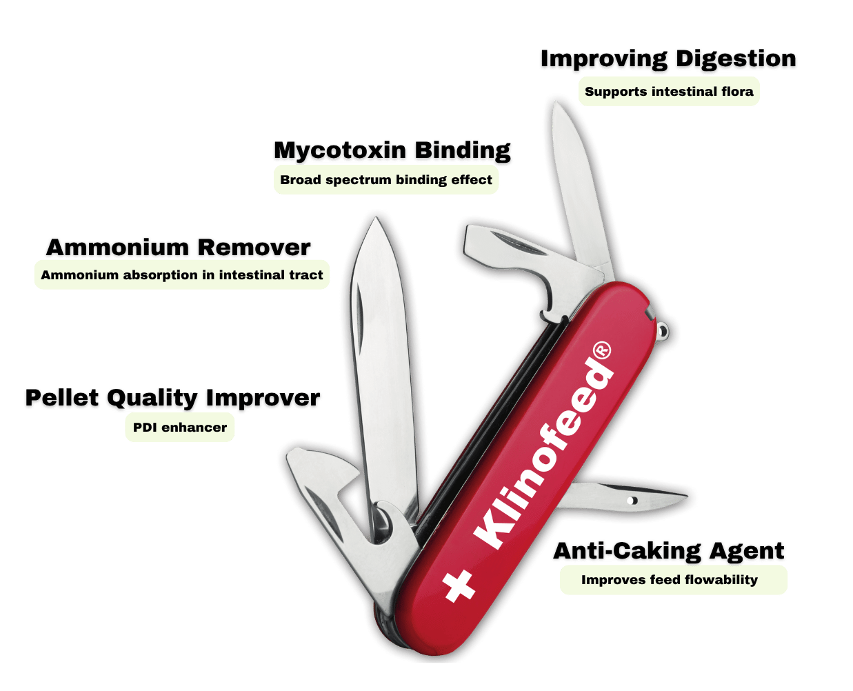  Klinofeed is a multitool of a feed additive.